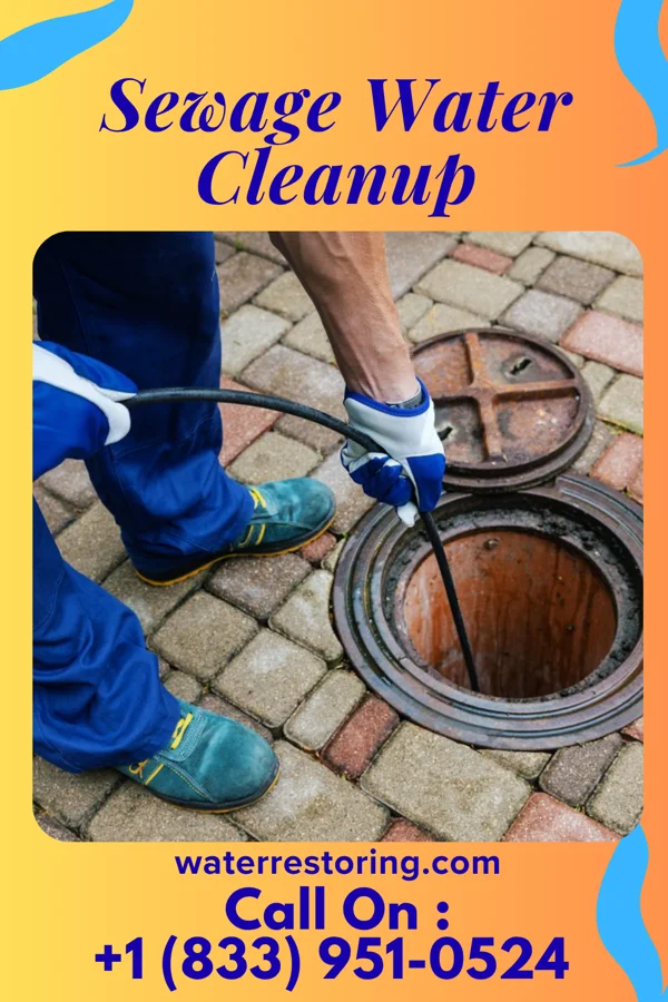 Sewage Water Cleanup in Mabank, TX